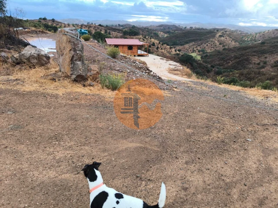 Terreno para Venda em Azinhal Foto 9
