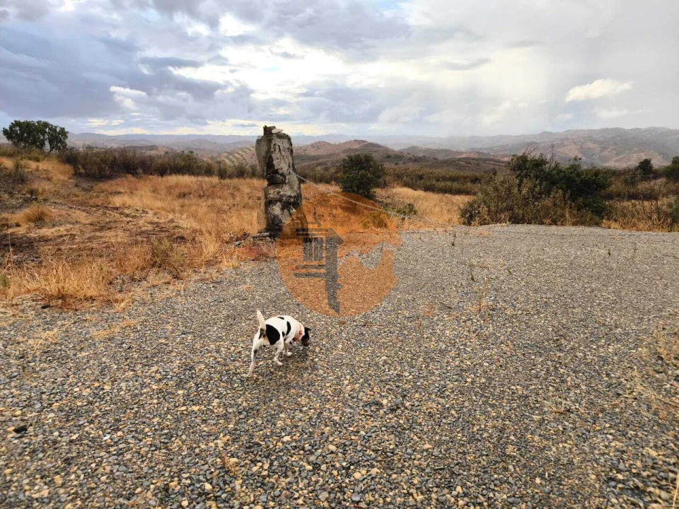 Terreno para Venda em Azinhal Foto 36