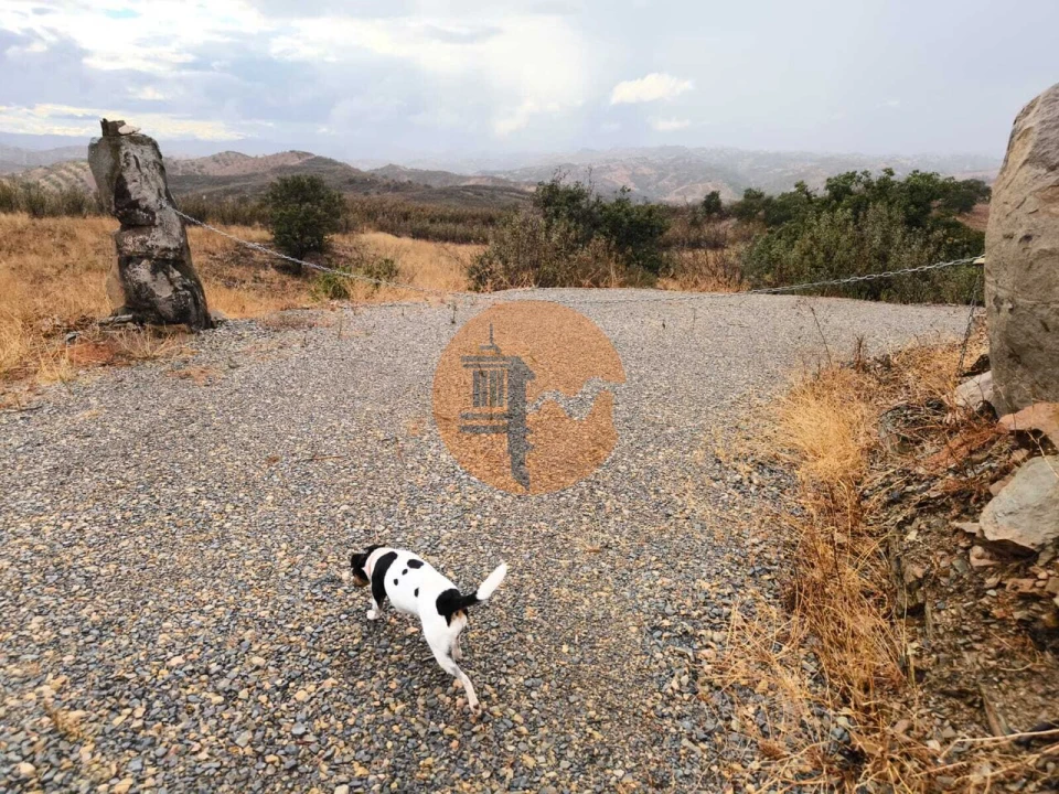 Terreno para Venda em Azinhal Foto 38