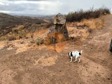 Terreno para Venda em Azinhal