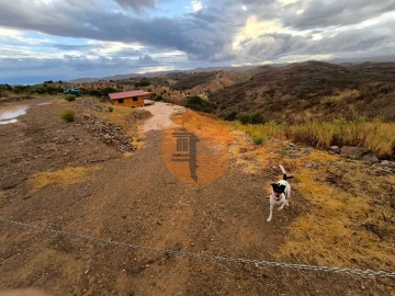 Terreno para Venda em Azinhal