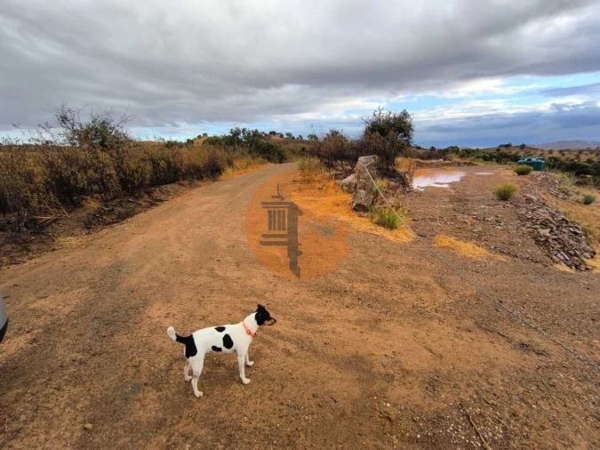 Terreno para Venda em Azinhal Foto 7