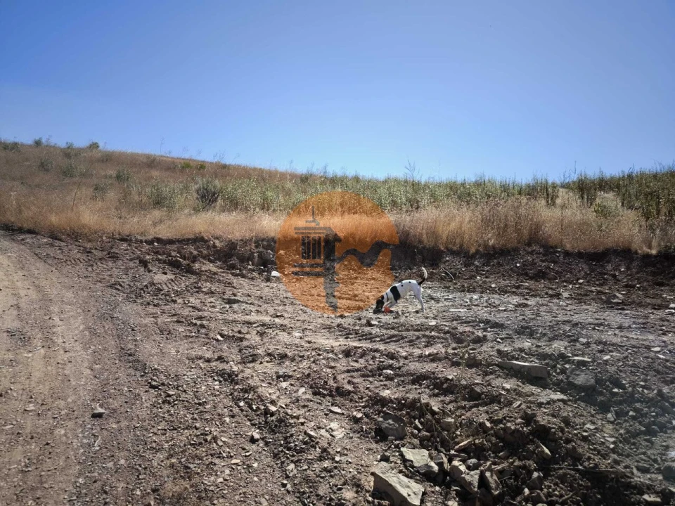 Terreno para Venda em Castro Marim Foto 6