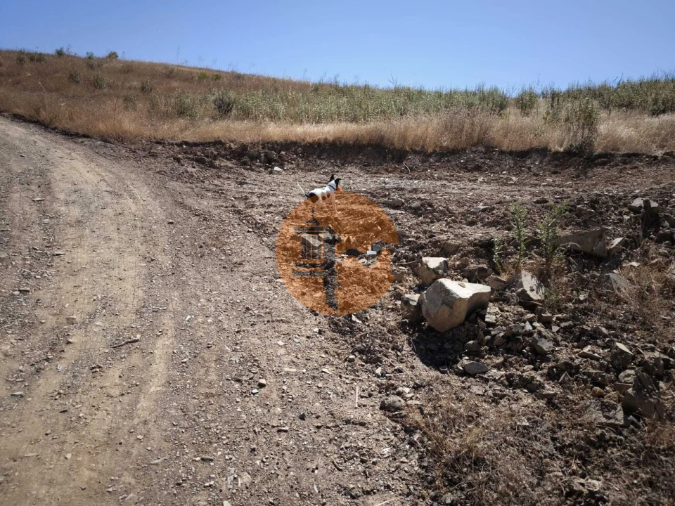 Terreno para Venda em Castro Marim Foto 7