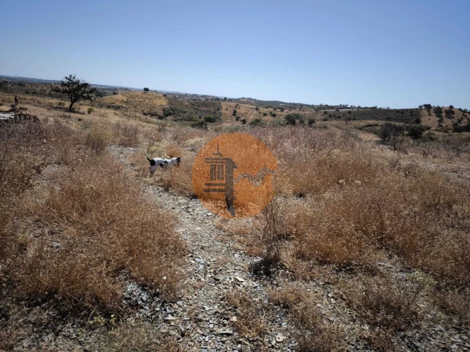 Terreno para Venda em Castro Marim Foto 18