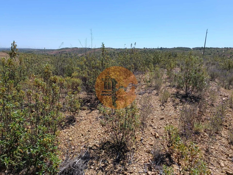 Terreno para Venda em Odeleite Foto 6