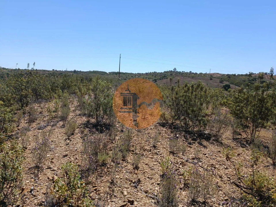 Terreno para Venda em Odeleite Foto 11