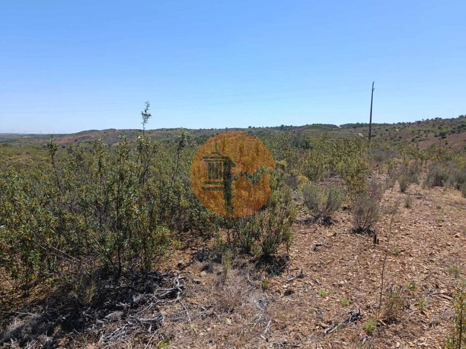Terreno para Venda em Odeleite Foto 17