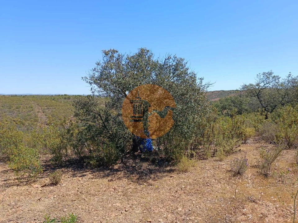 Terreno para Venda em Odeleite Foto 1