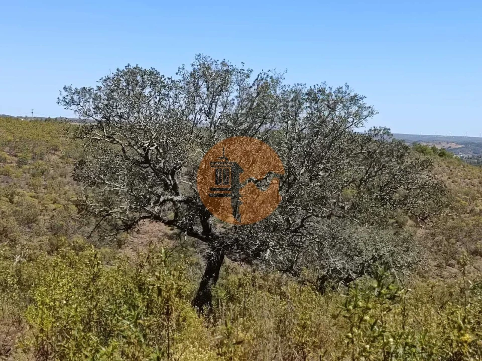 Terreno para Venda em Odeleite Foto 30