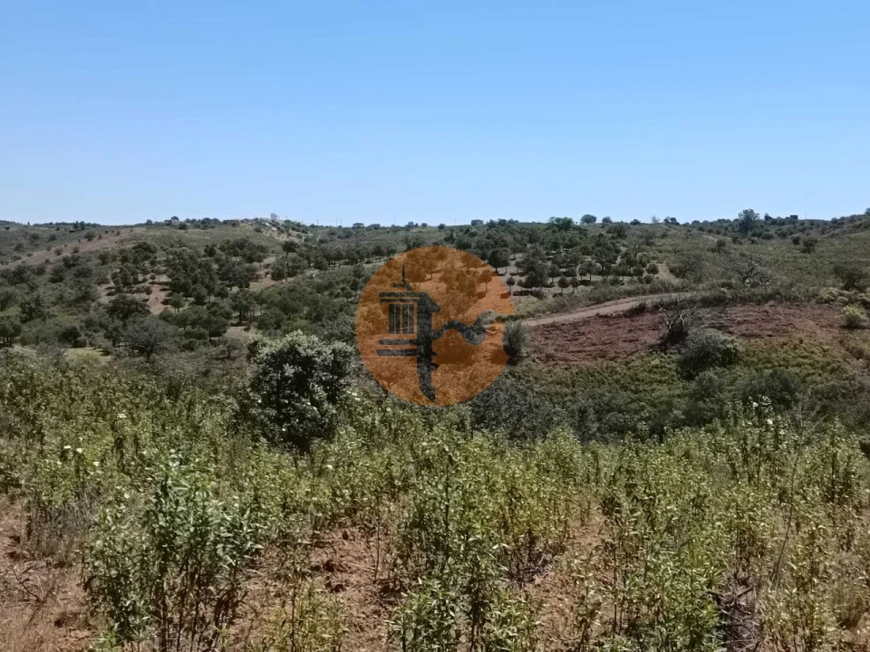 Terreno para Venda em Odeleite Foto 31