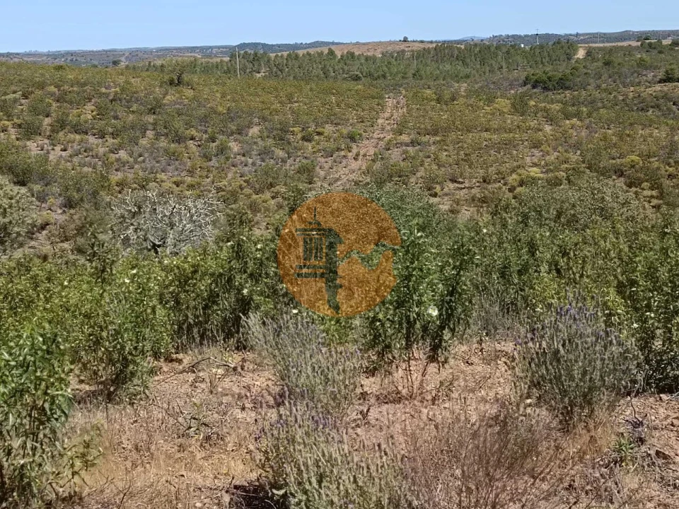 Terreno para Venda em Odeleite Foto 34