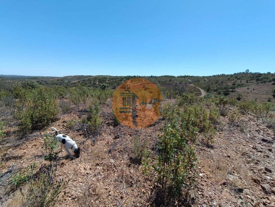 Terreno para Venda em Odeleite Foto 37