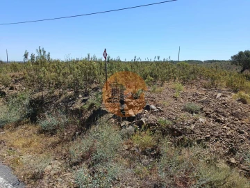Terreno para Venda em Odeleite