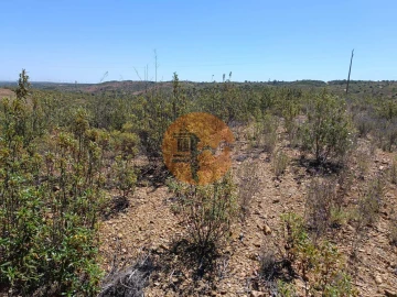 Terreno para Venda em Odeleite