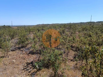 Terreno para Venda em Odeleite