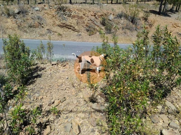 Terreno para Venda em Odeleite
