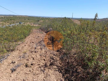 Terreno para Venda em Odeleite