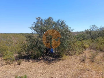 Terreno para Venda em Odeleite
