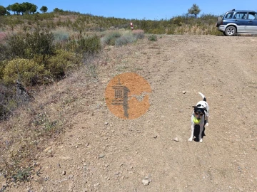 Terreno para Venda em Odeleite