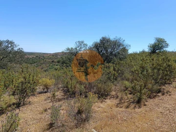 Terreno para Venda em Odeleite