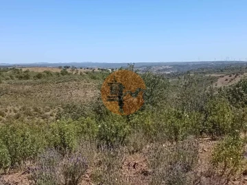 Terreno para Venda em Odeleite