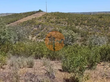 Terreno para Venda em Odeleite