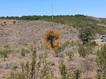 Terreno para Venda em Odeleite