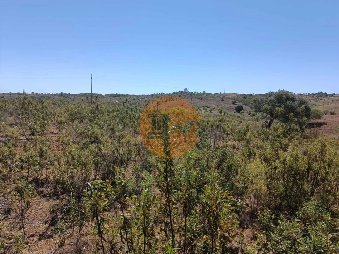 Terreno para Venda em Odeleite Foto 7