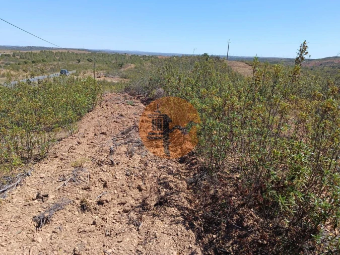 Terreno para Venda em Odeleite Foto 9