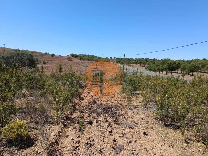 Terreno para Venda em Odeleite Foto 14