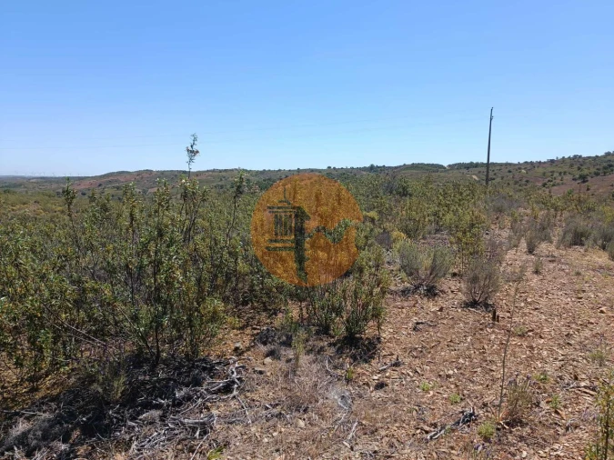 Terreno para Venda em Odeleite Foto 17