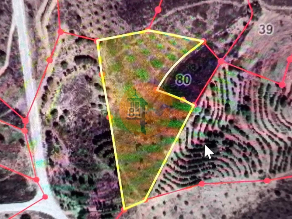 Terreno para Venda em Azinhal Foto 2
