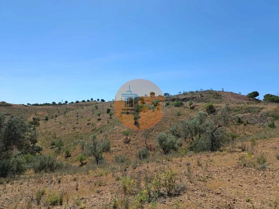 Terreno para Venda em Azinhal Foto 5