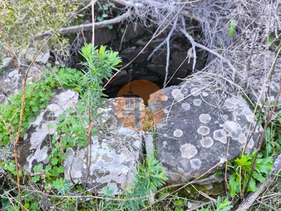 Terreno para Venda em Azinhal Foto 1