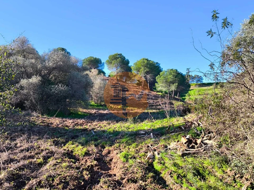 Terreno para Venda em Azinhal Foto 4
