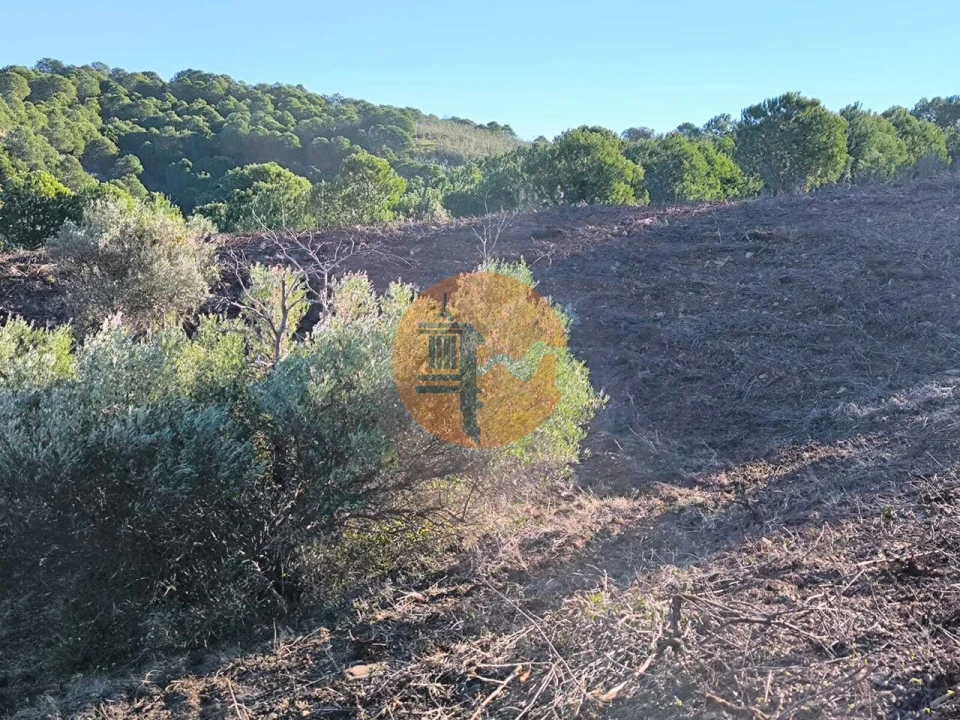 Terreno para Venda em Azinhal Foto 14