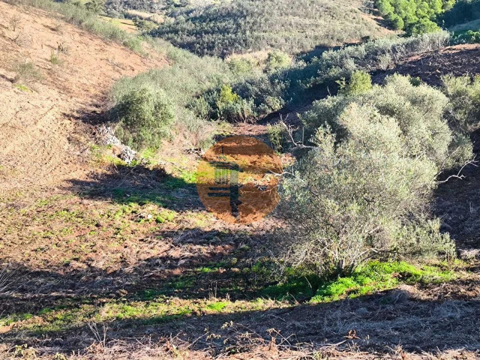 Terreno para Venda em Azinhal Foto 16