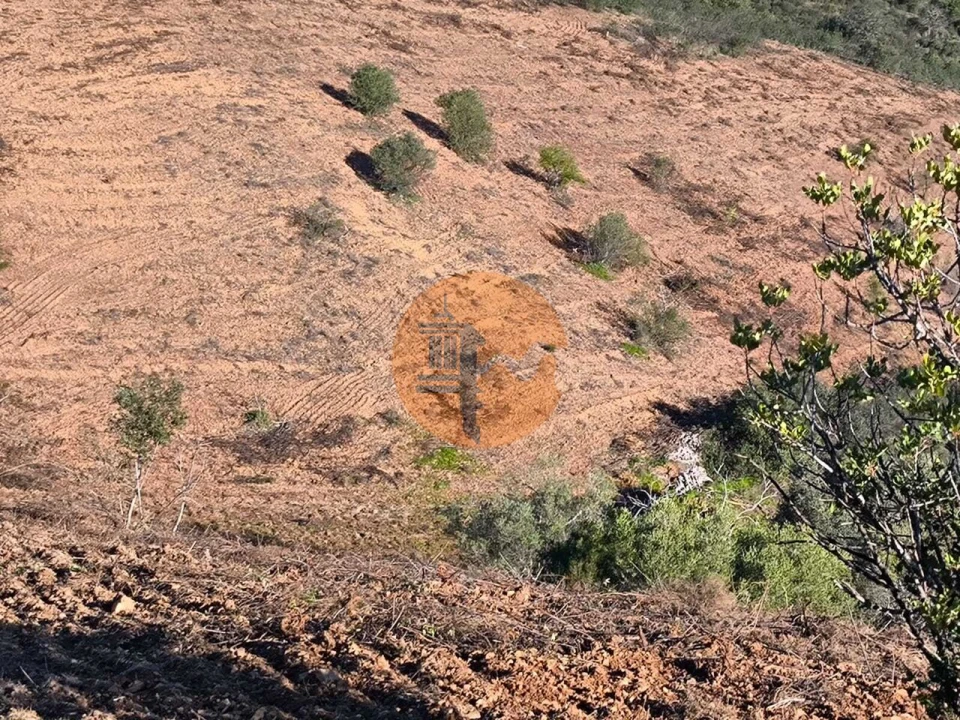 Terreno para Venda em Azinhal Foto 21