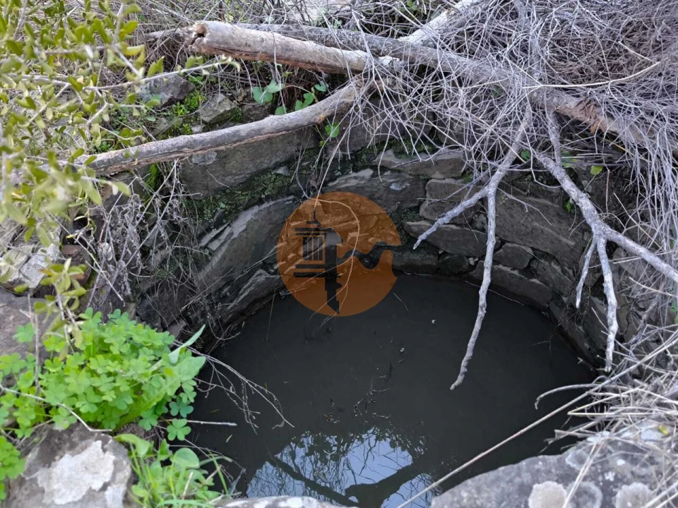 Terreno para Venda em Azinhal Foto 23