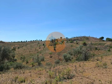 Terreno para Venda em Azinhal
