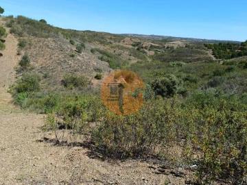 Terreno para Venda em Azinhal