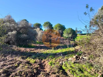 Terreno para Venda em Azinhal