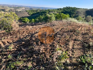 Terreno para Venda em Azinhal