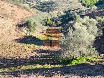 Terreno para Venda em Azinhal