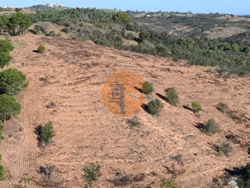 Terreno para Venda em Azinhal