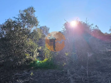 Terreno para Venda em Azinhal