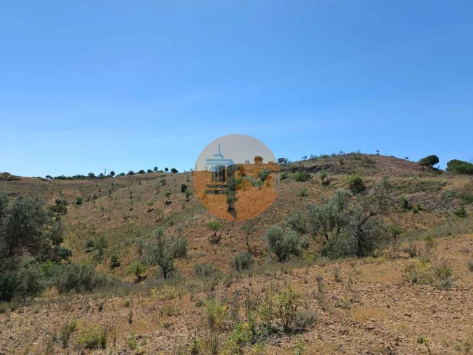 Terreno para Venda em Azinhal Foto 5