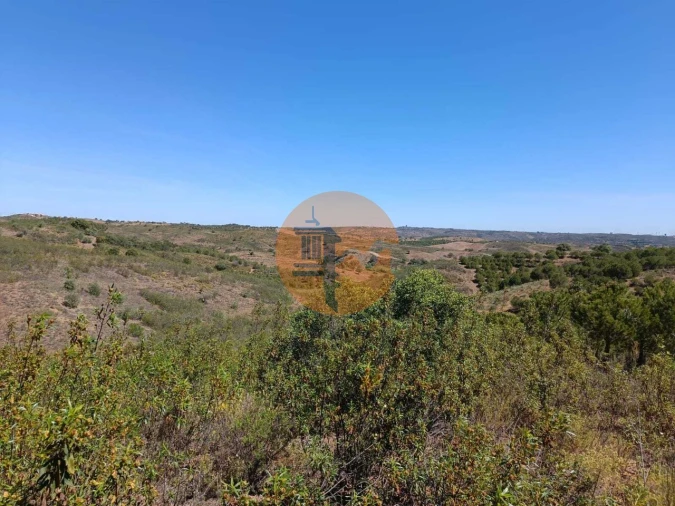 Terreno para Venda em Azinhal Foto 9