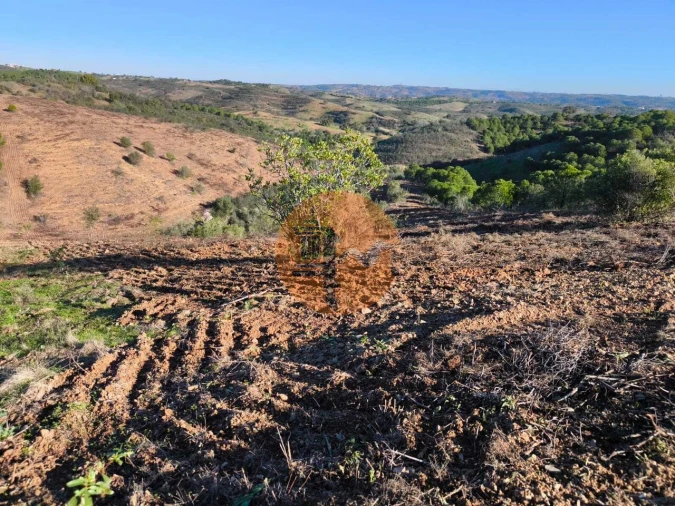 Terreno para Venda em Azinhal Foto 17